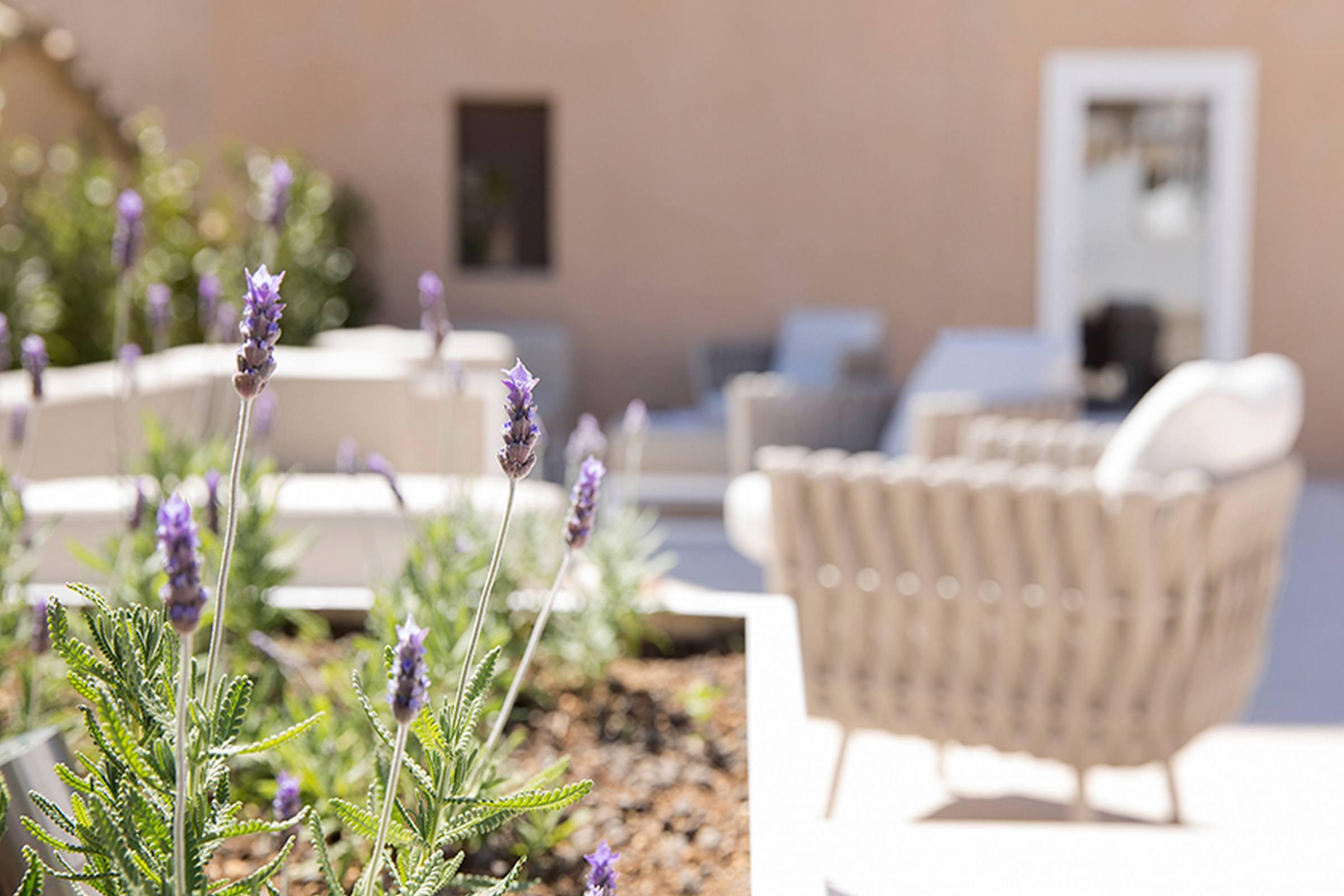 Convent De La Missio - Grand Luxury Boutique Hotel, Adults Only Palma de Mallorca Exterior photo